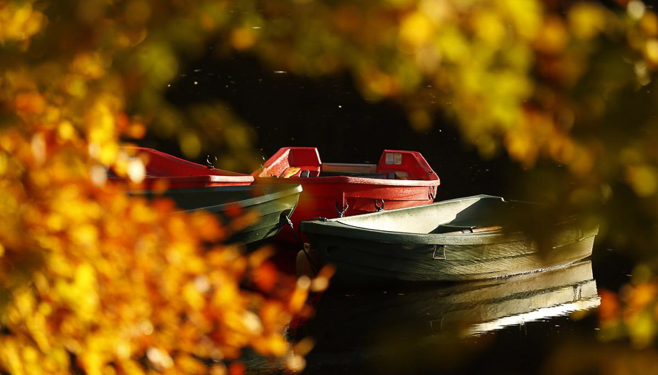 Moored boats are seen on Loch Faskally, as autumn leaves are reflected in the water, in Pitlochry, Scotland Oct. 18. PHOTO: REUTERS