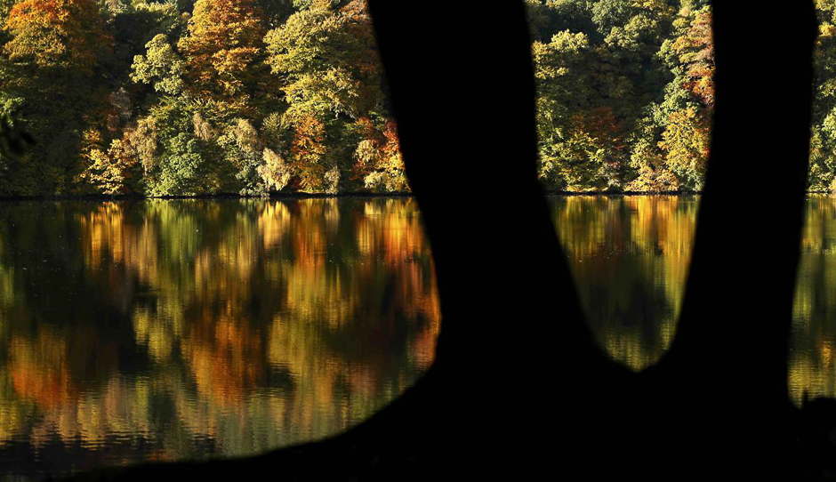 Autumn leaves are reflected in the water of Loch Faskally, in Pitlochry, Scotland, Oct. 24. PHOTO: REUTERS