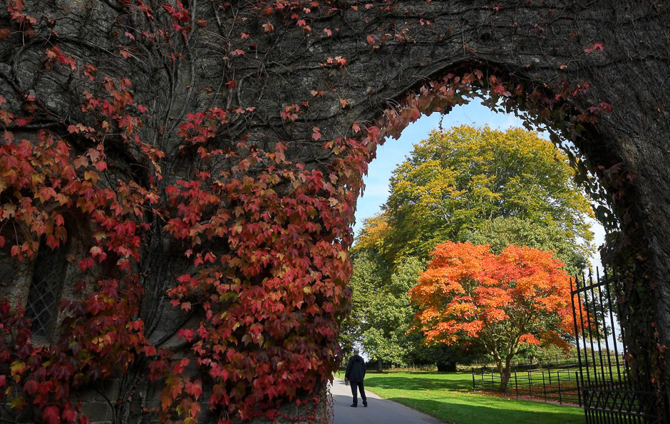 Visitors view the autumn foliage and colors in the gardens and estate at Stourhead in south west Britain, Oct. 21. PHOTO: REUTERS