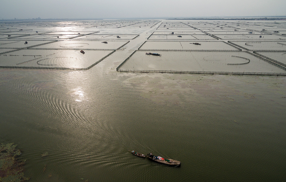 This picture taken on October 18, 2016 shows a hairy crab farmer steering his boat past crab breeding farms in Yangcheng Lake in Kunshan. Autumn is believed to be the best season for eating and harvesting hairy crabs, which are regarded as a delicacy in Shanghai and neighbouring provinces. PHOTO: AFP