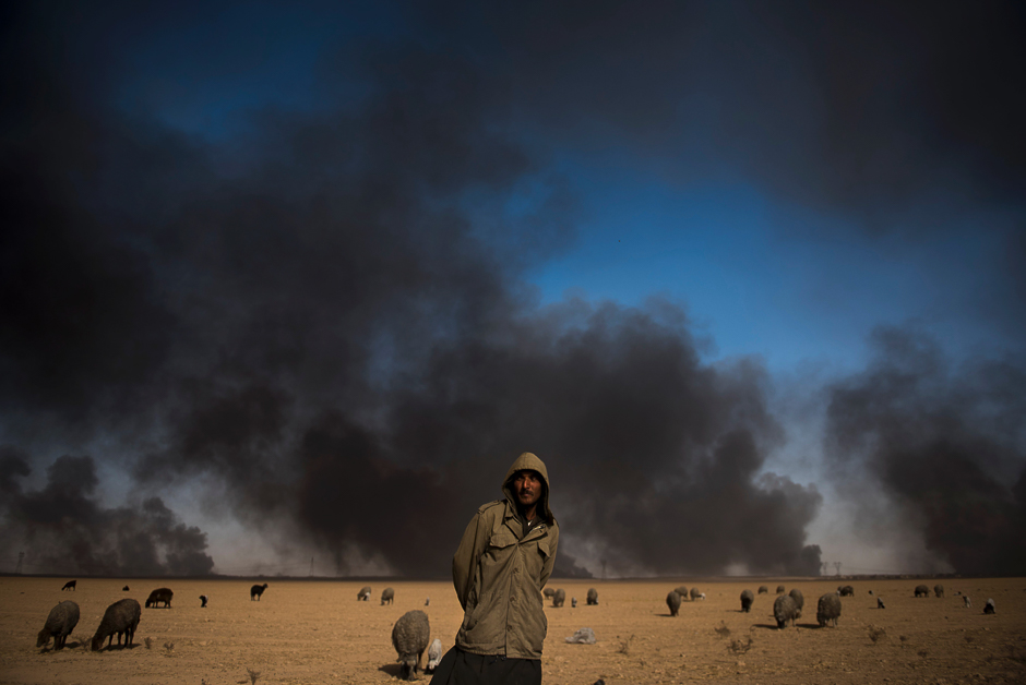 A sheperd tends to his blackened flock of sheep as oil wells, set ablaze by retreating Islamic State (IS) militants, burn in the background, in the town of Qayyarah, Mosul. PHOTO: AFP