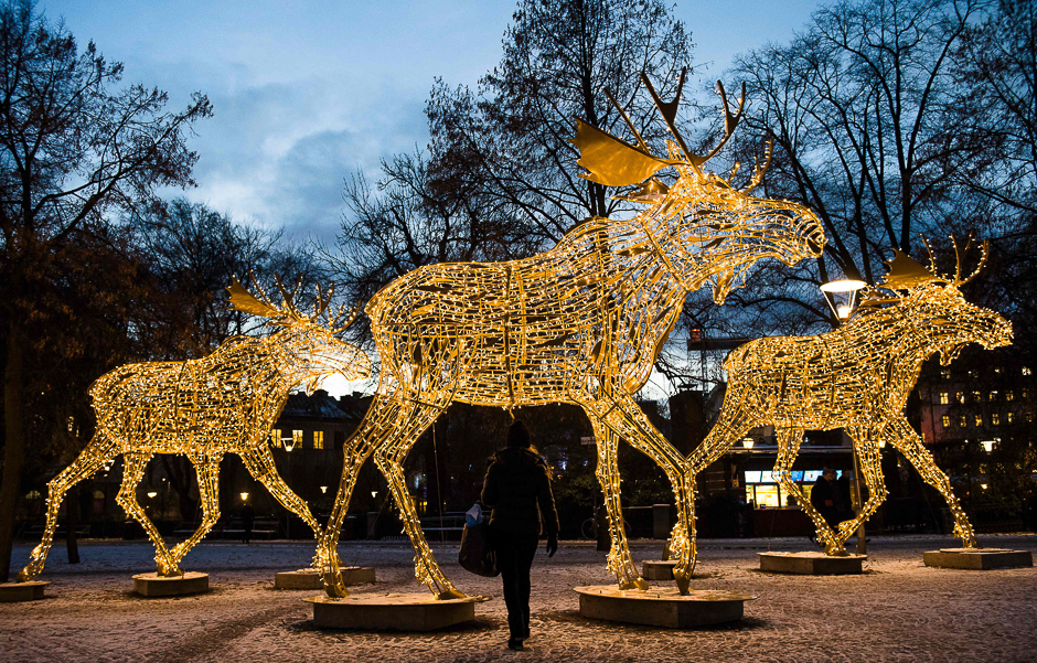 Thousands of lights decorate moose statues in Stockholm. PHOTO: AFP