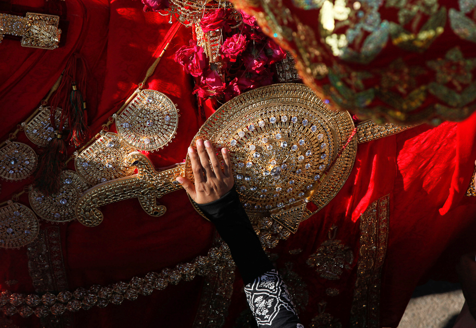 A hand of a Shia Muslim woman touches the gold-ornamentation of sword and shield, placed on a symbolic sacred horse for a good luck, during Chelum, a procession to mark the fortieth day after the death of Imam Hussain in Karachi. PHOTO: REUTERS