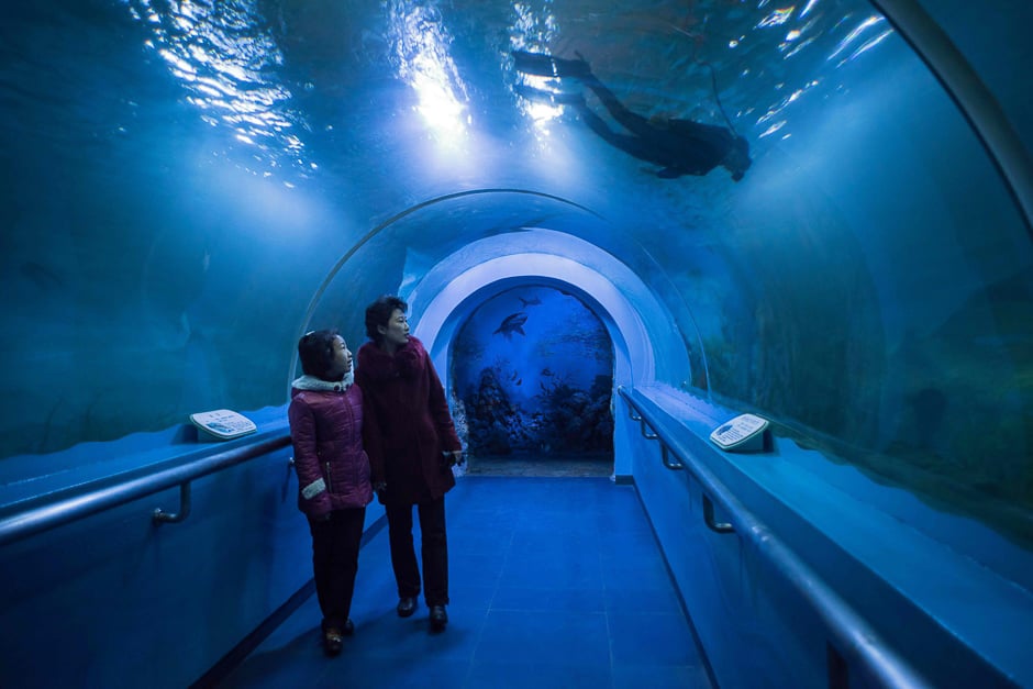 Visitors watch a diver from an underwater tunnel aquarium in the central zoo on the outskirts of Pyongyang, North Korea. PHOTO: AFP 