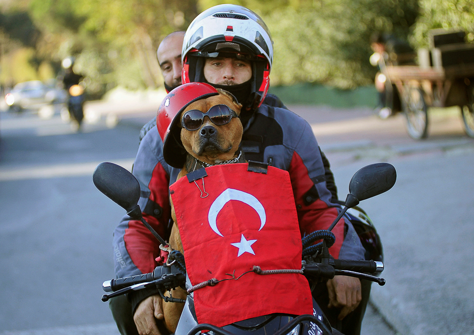 A motorcyclist and his dog drive past the scene of Saturday's blasts in Istanbul, Turkey. PHOTO: REUTERS