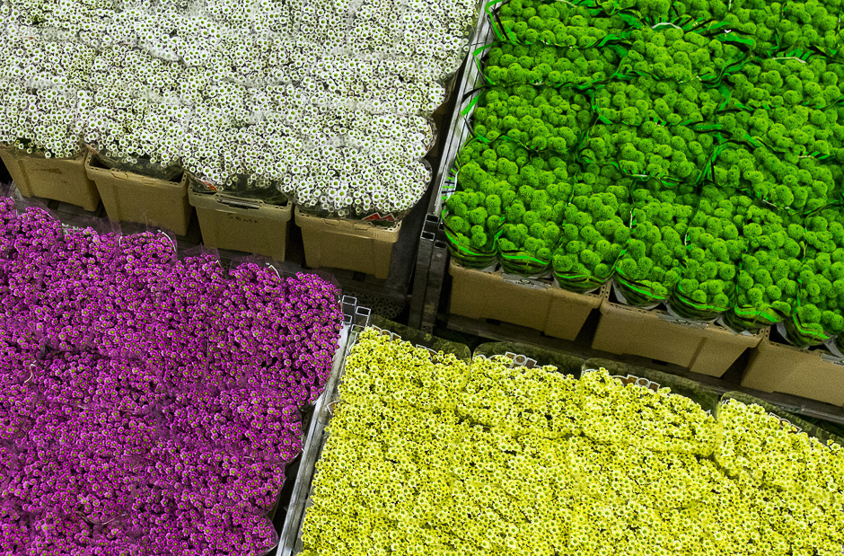 Flowers are seen at the Royal Flora Holland flower market in Aalsmeer, the Netherlands. PHOTO: REUTERS