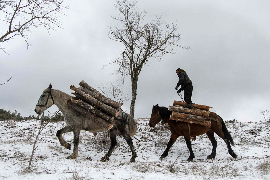 A woodcutter rides horses laden with wood during a deforestation near Sofia. PHOTO: AFP
