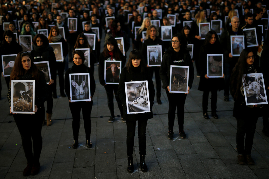 Animal rights activists from Igualdad hold up pictures of animals they say are mistreated, during a demonstration to protest treatment of animals and draw attention to International Animal Rights Day, which organisers say is celebrated alongside International Human Rights Day, in Madrid, Spain. PHOTO: REUTERS