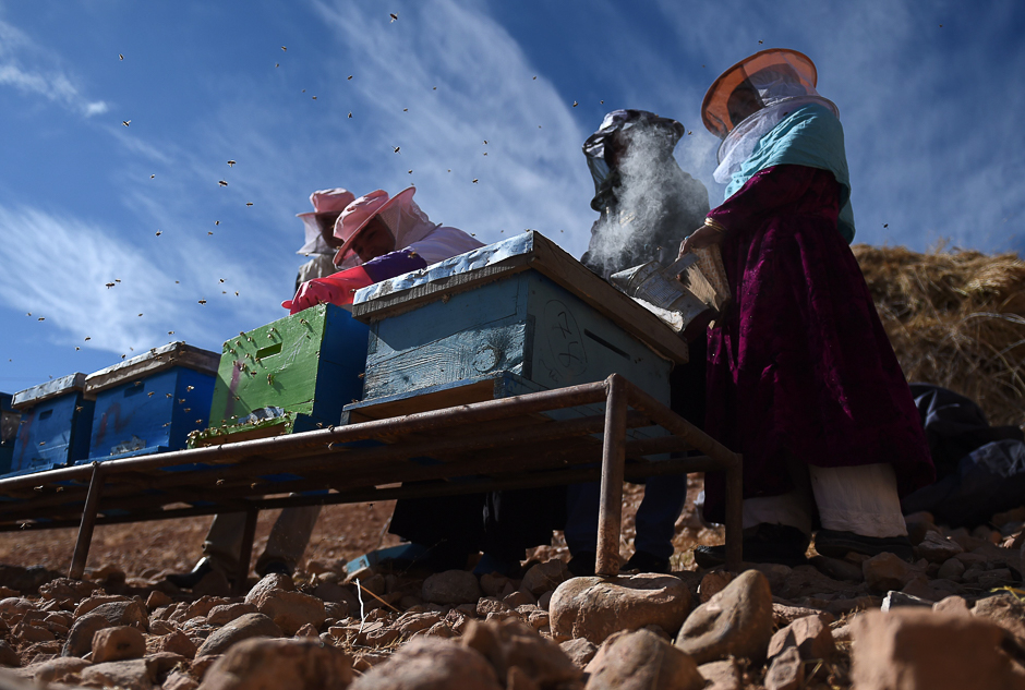 Afghan Hazara women beekeepers check beehives as they work at a bee farm in the Yakawlang District of Bamiyan Province. PHOTO: AFP