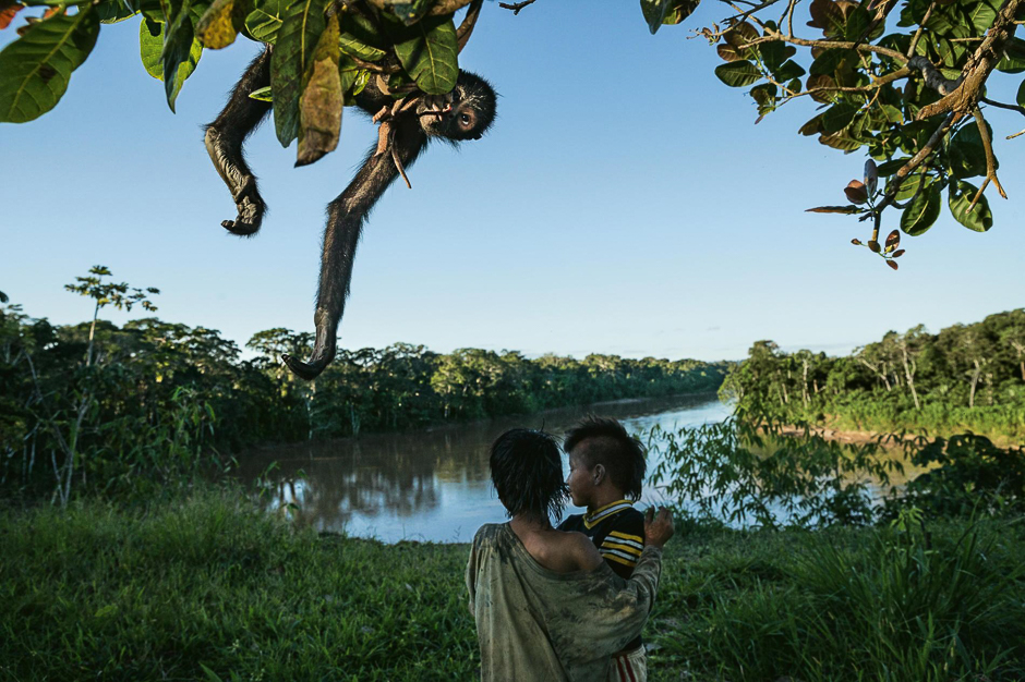 Indigenous people farm and hunt in Peru's ManÃº forest but only for their own subsistence. Spider monkeys are a favorite quarryâand also favorite pets. PHOTO: CHARLIE HAMILTON JAMES/NATIONAL GEOGRAPHIC