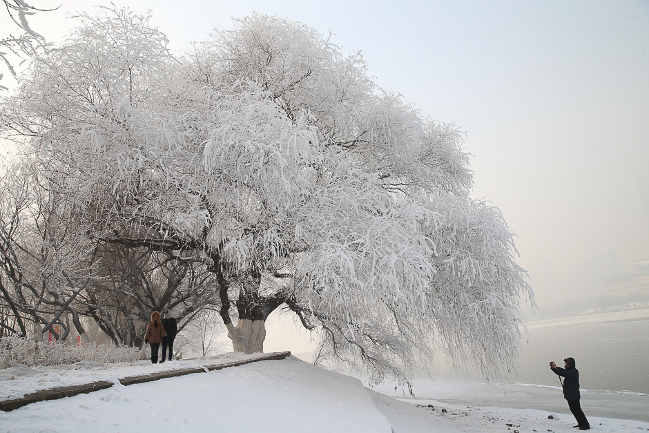 A man captures rime at a park beside a river in Shenyang, Liaoning province, China. PHOTO: REUTERS