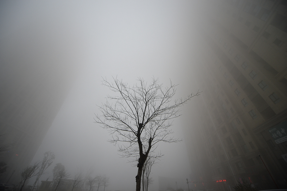 Buildings are seen in heavy smog during a polluted day in Jinan, Shandong province, China. PHOTO: REUTERS