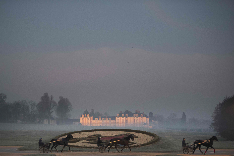 Horses attend a training session at the equestrian training centre of Grosbois in Marolles-en-Brie. PHOTO: AFP
