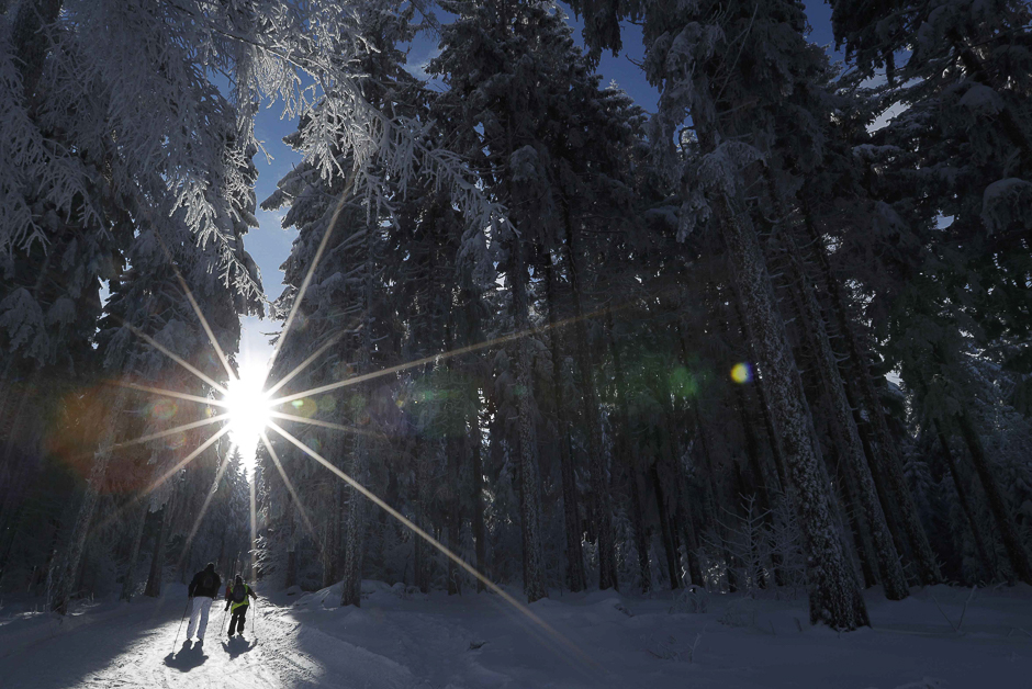 A group of cross-country skiers enjoy a cold and sunny winter's day at the Champ du Feu near Strasbourg, France. PHOTO: REUTERS