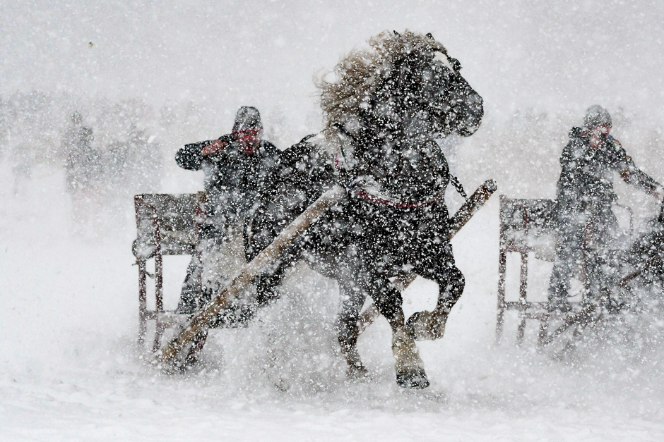 A participant of a horse-drawn sleigh race drives his sleigh through the snow in Rinchnach, southern Germany. PHOTO: AFP