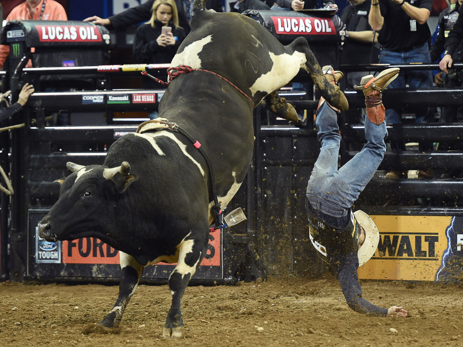 Professional Bull Riders (PBR) rider Cody Hefferman falls off Jailbreaker during the Built Ford Tough Series Monster Energy Buck Off at Madison Square Garden in New York. PHOTO: AFP
