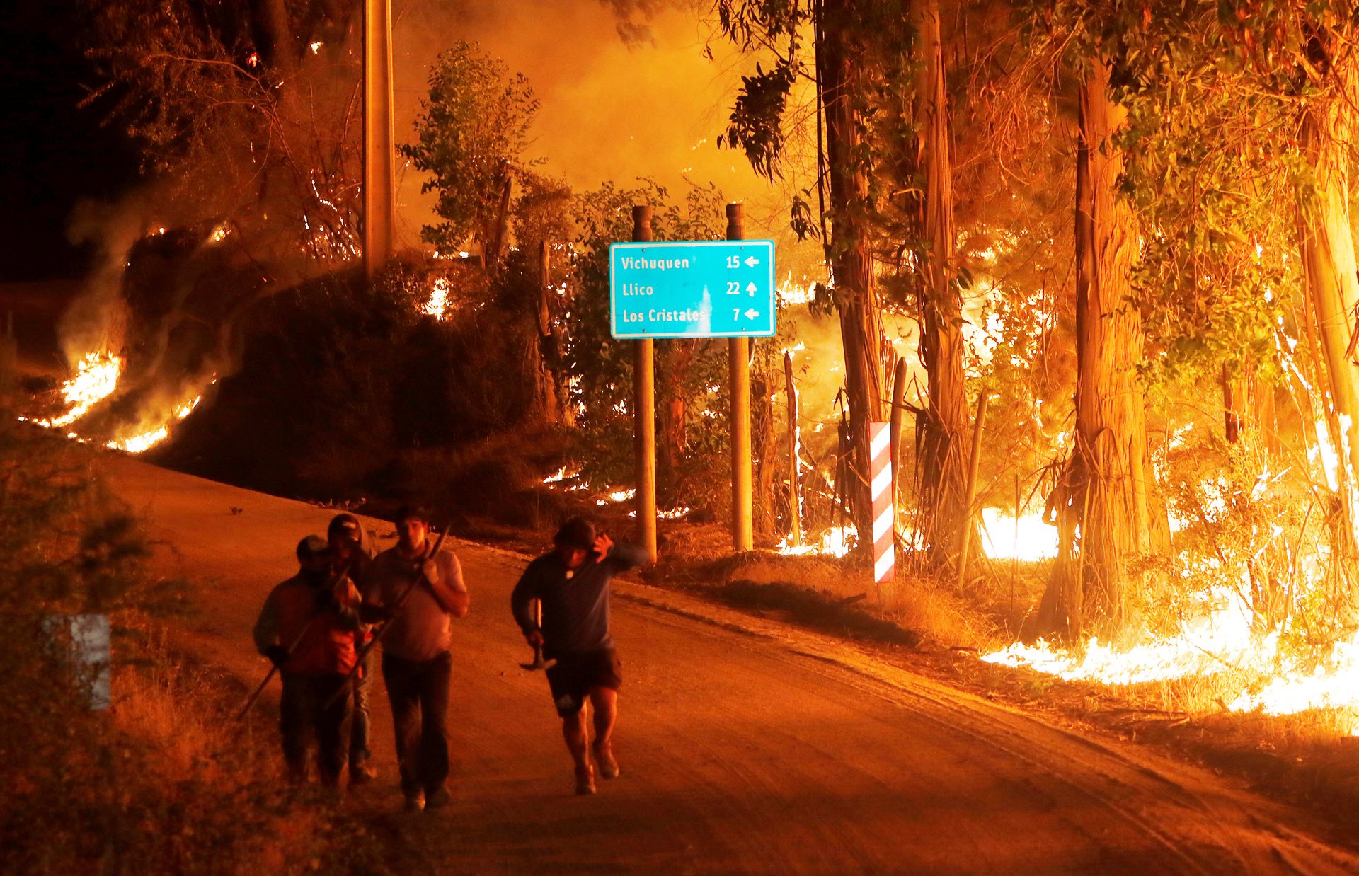 A forest fire rages beside a road, HualaÃ±Ã©, Chile. PHOTO: REUTERS