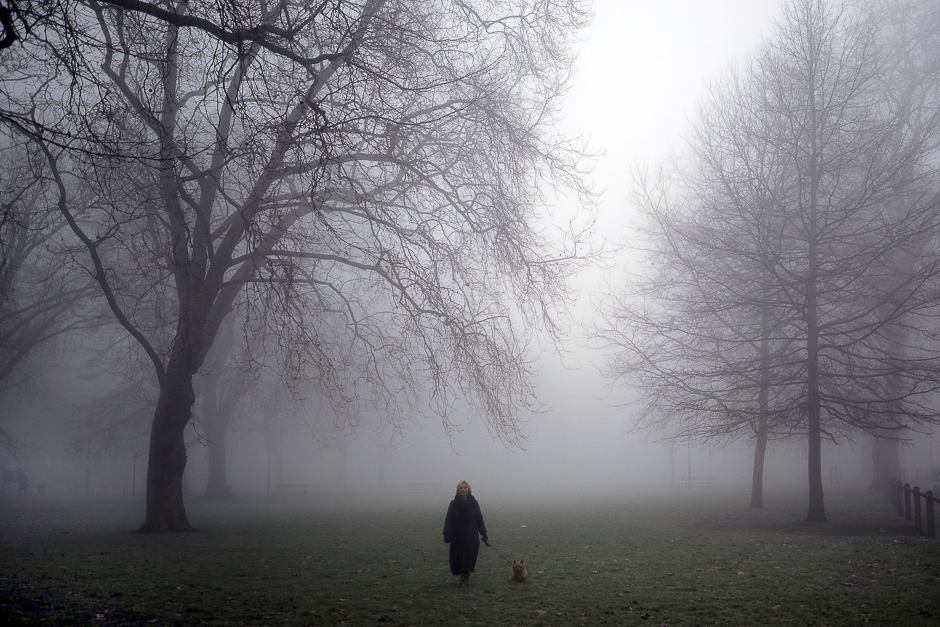 A woman walking her dog emerges from the fog on Parsons Green in London, Britain. PHOTO: REUTERS