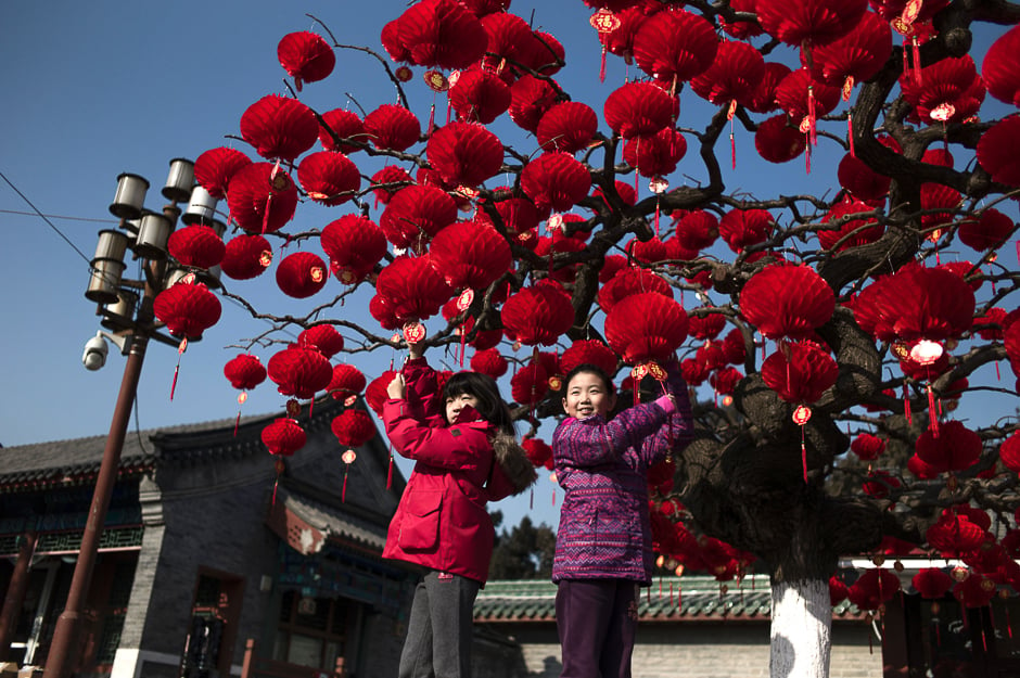 Chinese children pose for a photograph beside a lantern tree display ahead of the Lunar New Year in Beijing. PHOTO: AFP