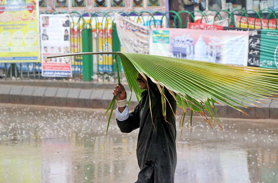 A man is seen using leafs of a plant to save himself from the rain. PHOTO: ONLINE/SABIR MAZHAR