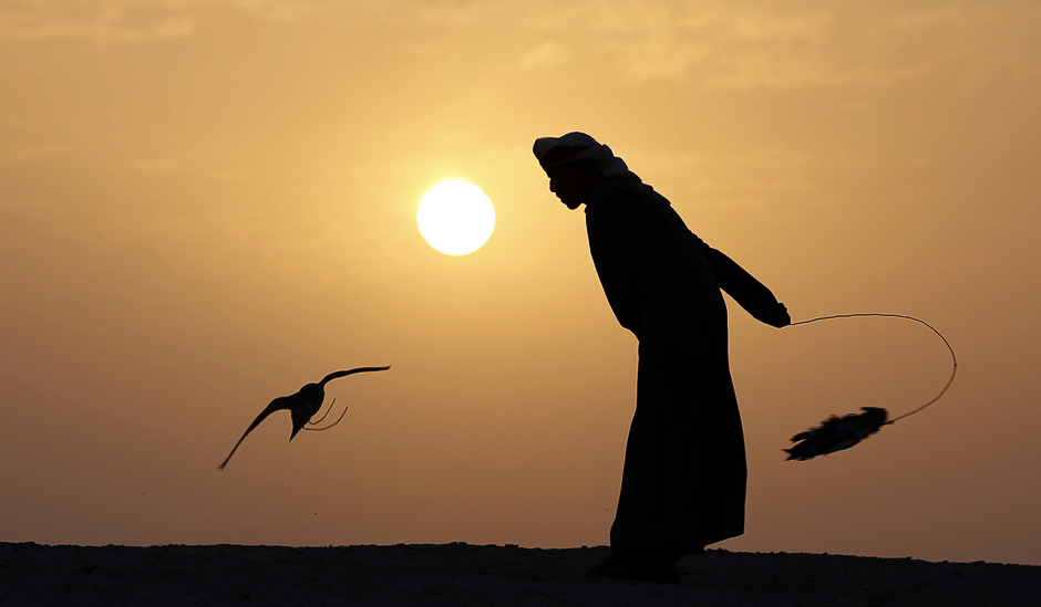 An Emirati man trains a falcon at al-Marzoom Hunting reserve, 150kms west of Abu Dhabi. PHOTO: AFP