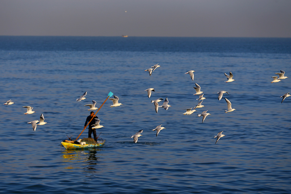 Seagulls fly over a Palestinian fisherman in Gaza City. PHOTO: AFP