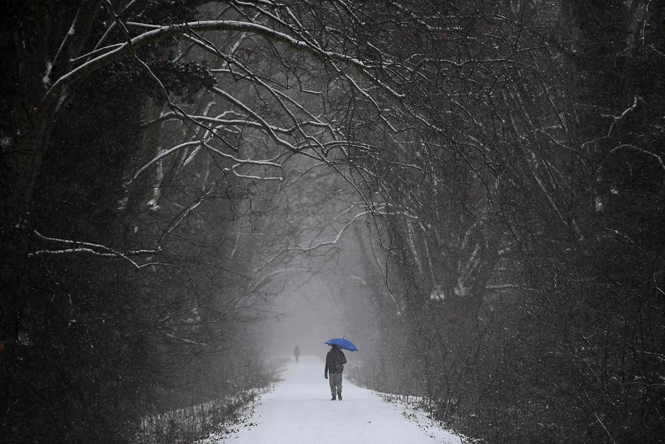 A man walks under snowfall in a forest in Strasbourg, eastern France as a cold wave hits most parts of Europe. PHOTO: AFP