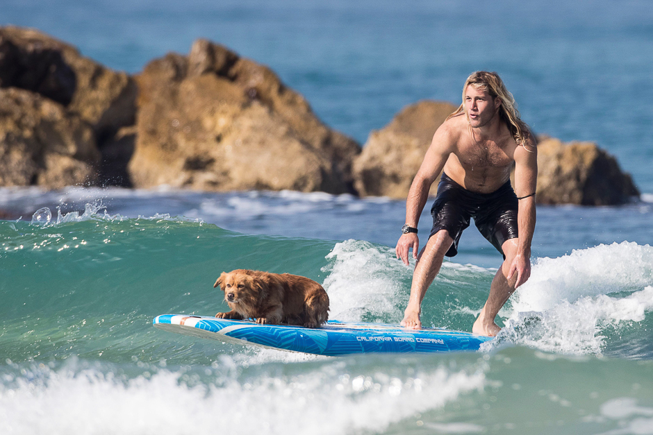 A surfer rides a wave with a dog as competitors take part in the men's qualifying series of the World Surf League SEAT Pro Netanya, in the Israeli coastal city of Netanya. PHOTO: AFP