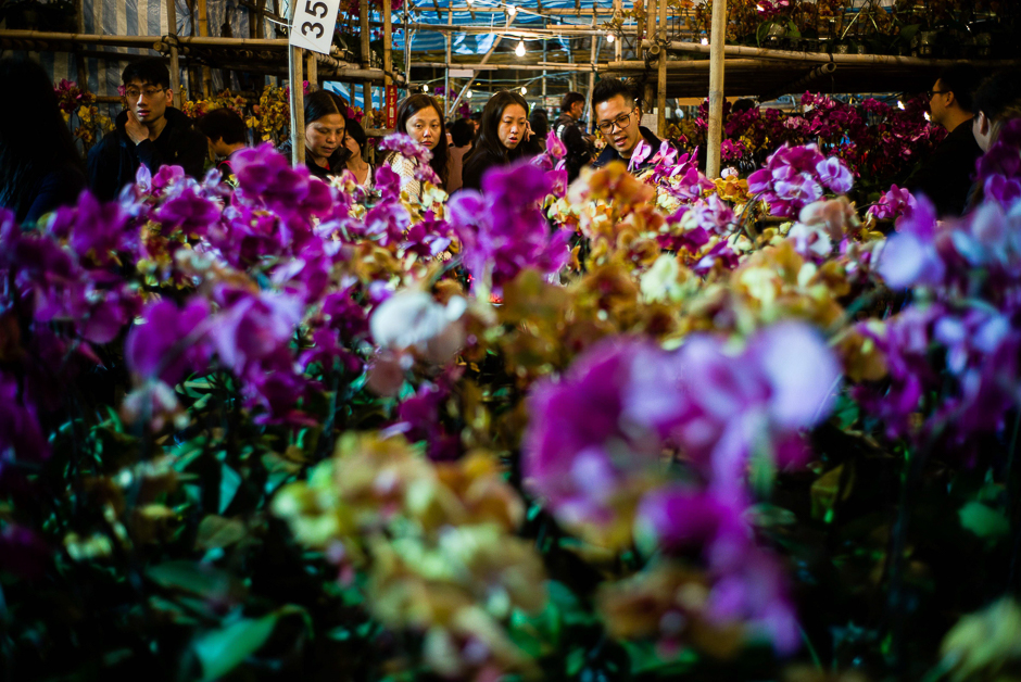 Customers browse flowers at the Victoria Park New Year Flower Market in Hong Kong. PHOTO: AFP