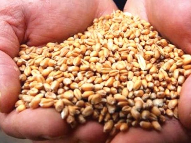 Construction of wheat silos approved | The Express Tribune