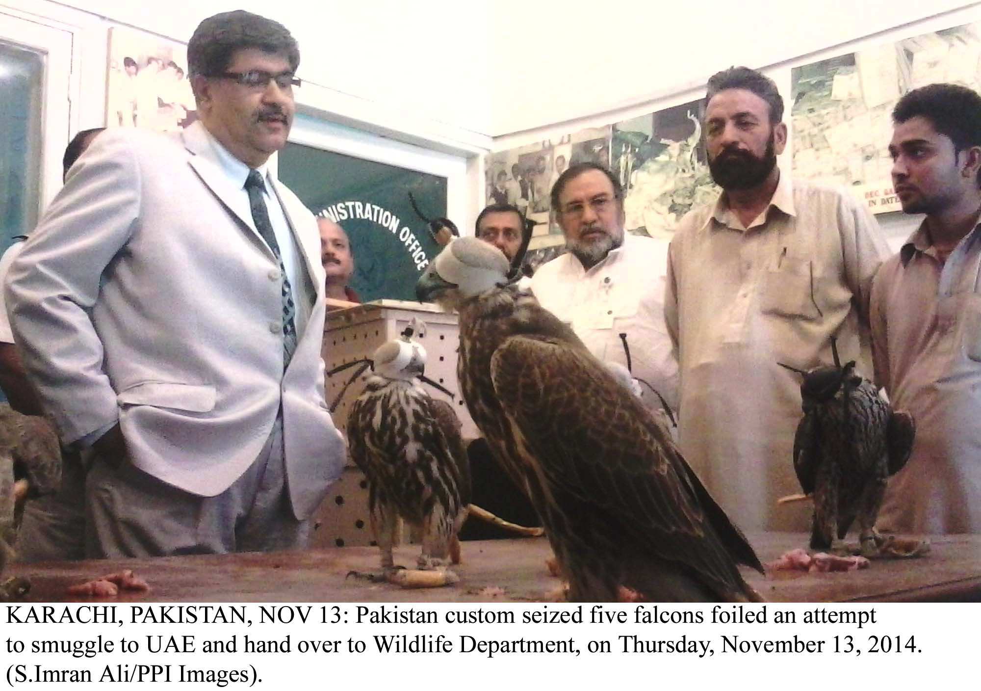 Of A Feather Wildlife Dept Cracks Down Against Illegal Sale