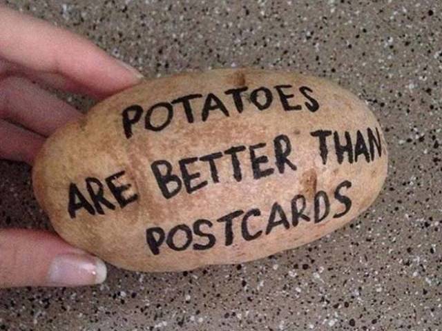 Image result for potato parcel business idea