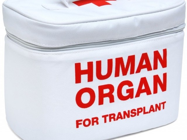 Image result for human organs give