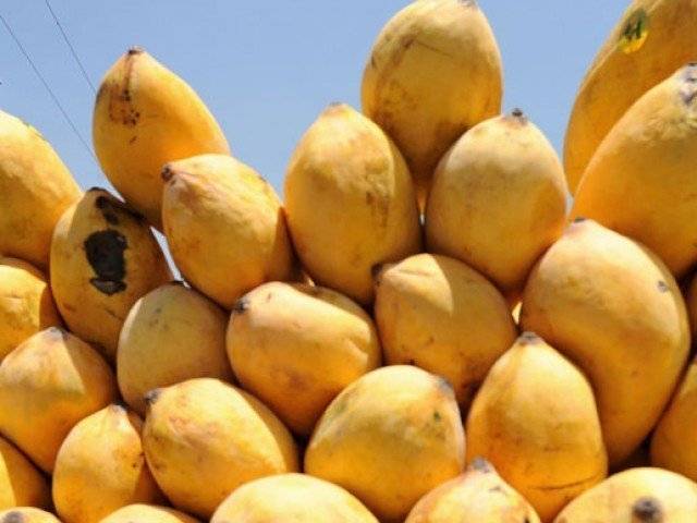 here is how you can detect mangoes ripened using carbide-tnilive-కర్బైడ్ కల్తీ మామిడి ఇలా కనిపెట్టవచ్చు