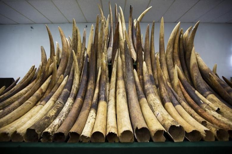 china to ban ivory trade by end of 2017