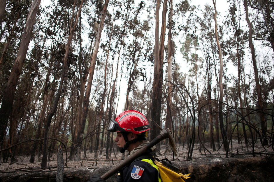 A French firefighter walks in a burnt forest as he helps extinguish wildfires in Chile's central-south regions, in Florida. PHOTO: REUTERS