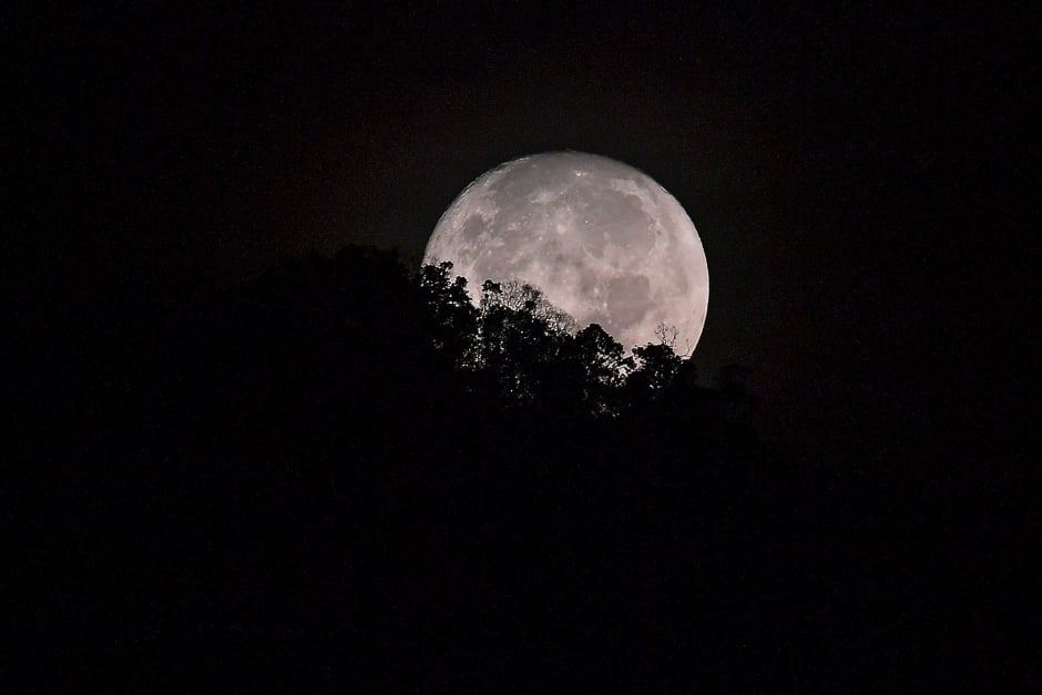The moon sets behind trees on a hill before sunrise in Karak, in the suburbs of Pahang outside Kuala Lumpur. PHOTO: AFP