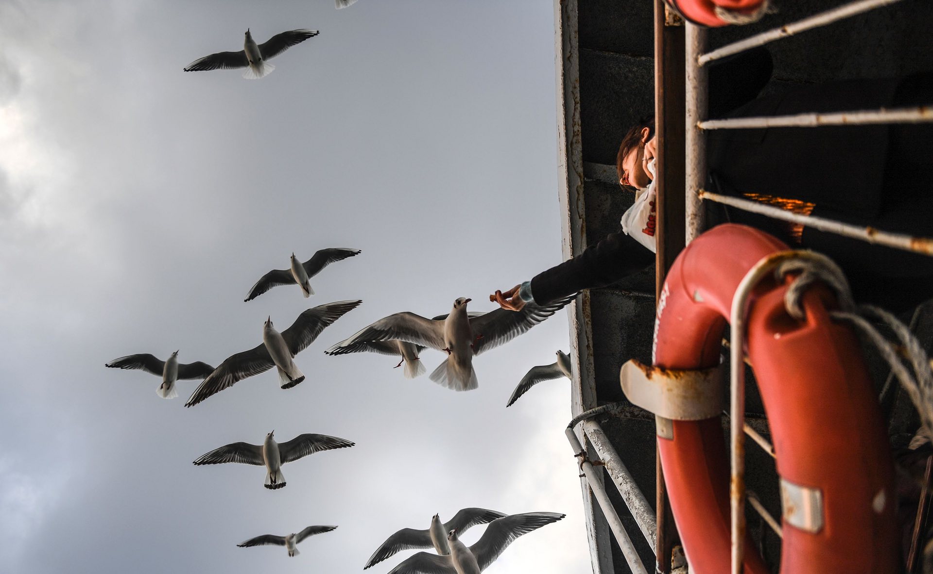 A woman feeds seagulls as she travels on a ferry, Istanbul, Turkey. PHOTO: AFP