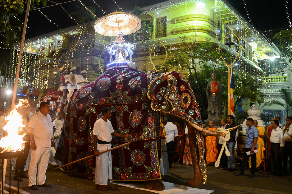 An elephant carries an altar containing Buddhist relics in front of the Gangarama Temple during the Navam Perahera festival in Colombo. PHOTO: AFP
