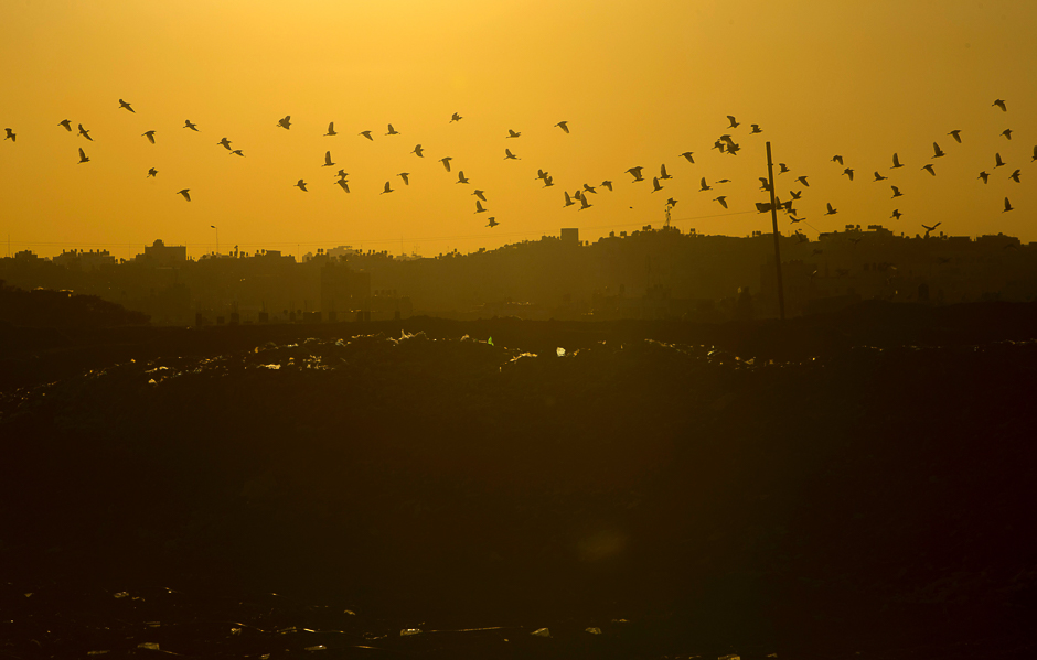Birds fly over a garbage dump in Beit Lahia, in the northern Gaza strip. PHOTO: AFP