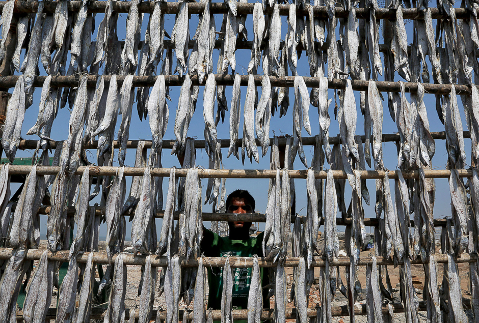 A man hangs fish to dry on bamboo poles at a fishing village in Mumbai, India. PHOTO: REUTERS