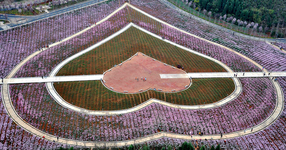 This photo taken on shows people visiting a flower park in Xingyi in southwest China's Guizhou province. PHOTO: AFP