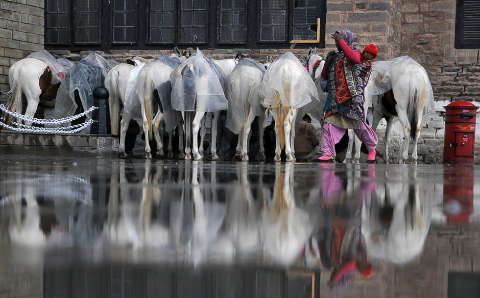 An Indian pedestrian carries a child as she walks past horses which are reflected in a puddle of water following heavy rains in the northern hill station of Shimla. PHOTO: AFP