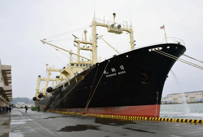 japanese whaling vessel the nisshin maru returns to the shimonoseki port in southwestern japan in this photo taken by kyodo on march 31 2017 after it and two other vessels hunted 333 minke whales in the antarctic ocean photo reuters