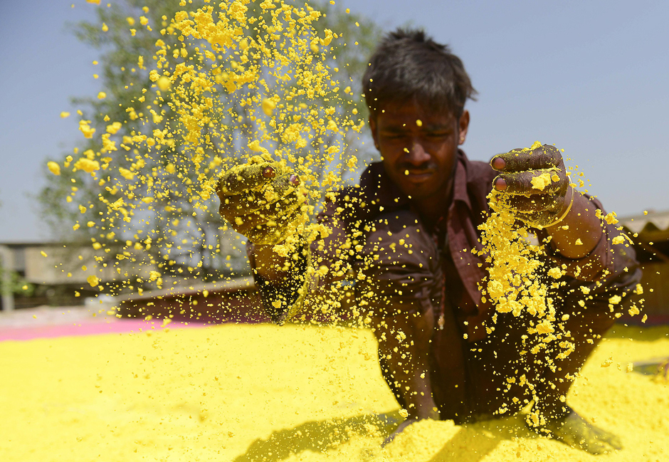 An Indian worker dries out eco-friendly herbal coloured powder ahead of the upcoming Hindu festival of Holi at a factory on the outskirts of Ahmedabad. PHOTO: AFP