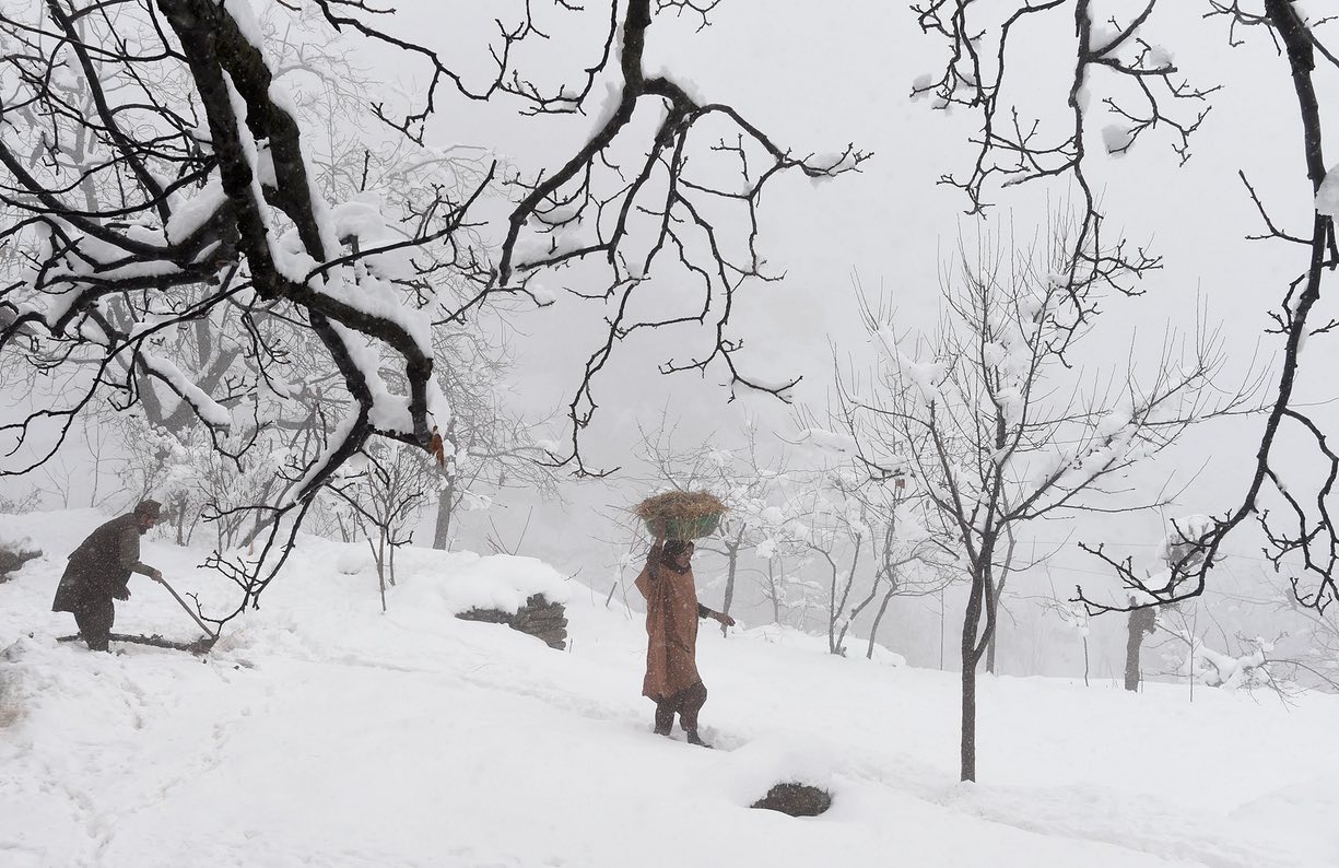 A woman carries a basket on her head during snowfall, Srinagar, Kashmir. PHOTO: REUTERS