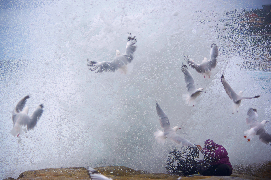 Seagulls and rock-fishing couple, Arie and Zakiyyah Widodo are sprayed by a large wave breaking against the rocks near Sydney's Bronte Beach, Australia. PHOTO: REUTERS