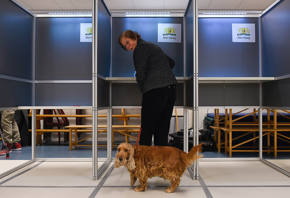 A woman with a dog reacts at a polling booth for Dutch general elections at a polling station in The Hague. PHOTO: AFP