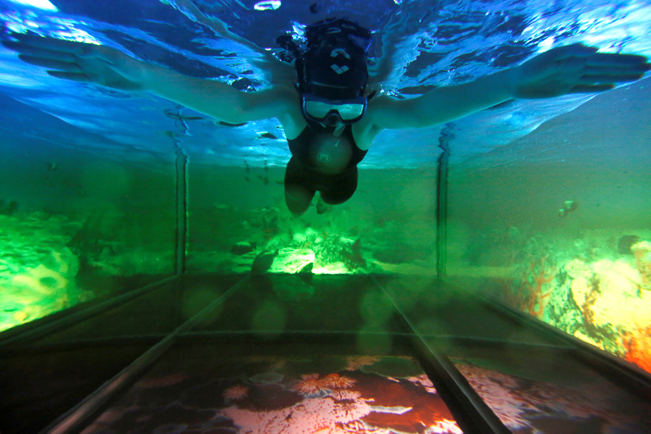 A woman demonstrates AquaCAVE, a system that augments swimming environment with immersive surrounded-screen virtual reality to enhance the swimming experience, during an demonstration event organised by Sony Corp.'s human augmentation research project with the University of Tokyo, in Tokyo, Japan. PHOTO: REUTERS