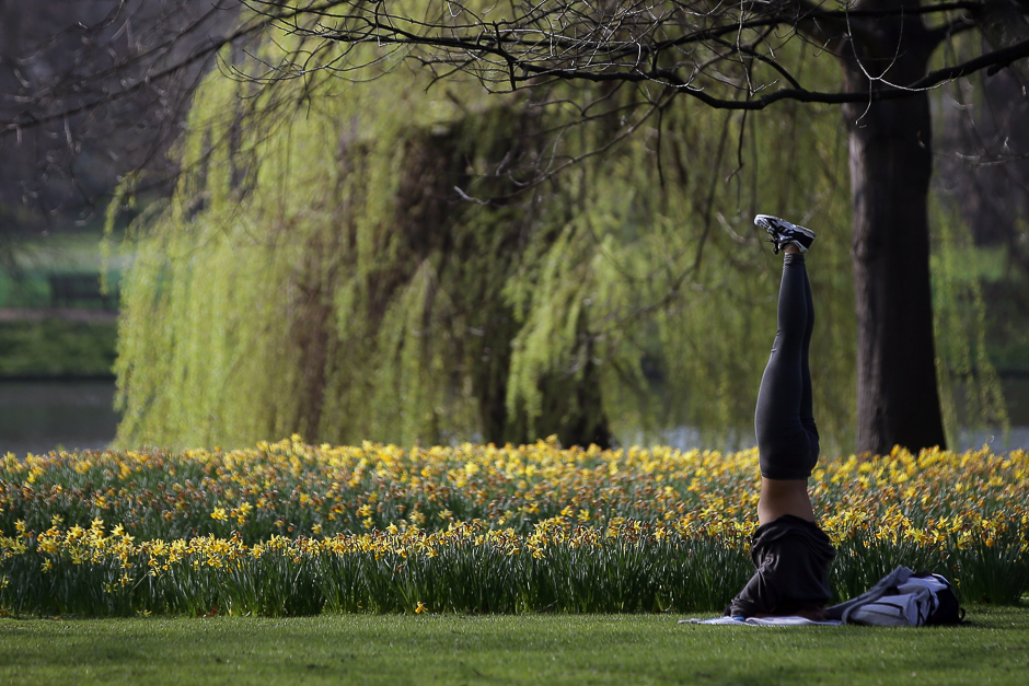 A woman exercises near a bed of flowering daffodils in St. James's Park in central London. PHOTO: AFP